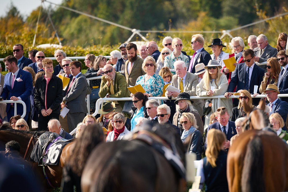 That's a wrap! 👋

2022 you have served up a whole host of momentous moments, but we could not have wished for a more glorious and fitting finale to end the season at Goodwood yesterday☀️

For those who can't wait for 2023, tickets go on sale on Monday 14 November.