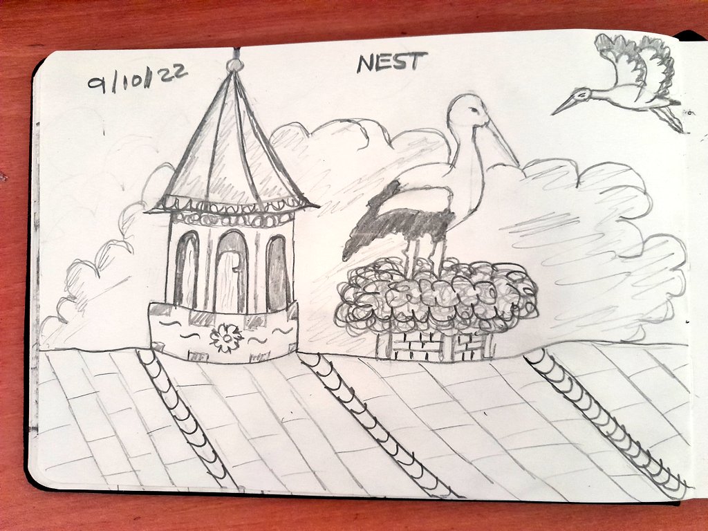 NEST  #NEST #inktober2022 #inktober2022day9 #inktobernest