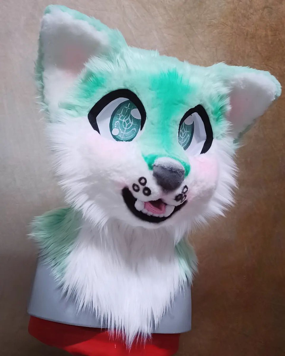 FenneCrafts's tweet photo. FOR SALE!
$950.00 + Shipping
Includes Head Only.
Head fits 21" - 23" (can be adjusted for the buyer)
Minty Husky is still available for purchase. ^v^ Features lovely, minty sea foam fur and warm white LEDs. Made to help cover my AquatiFur travel!
#fennecrafts #fursuit #fennecat https://t.co/fdzCwH7ddE