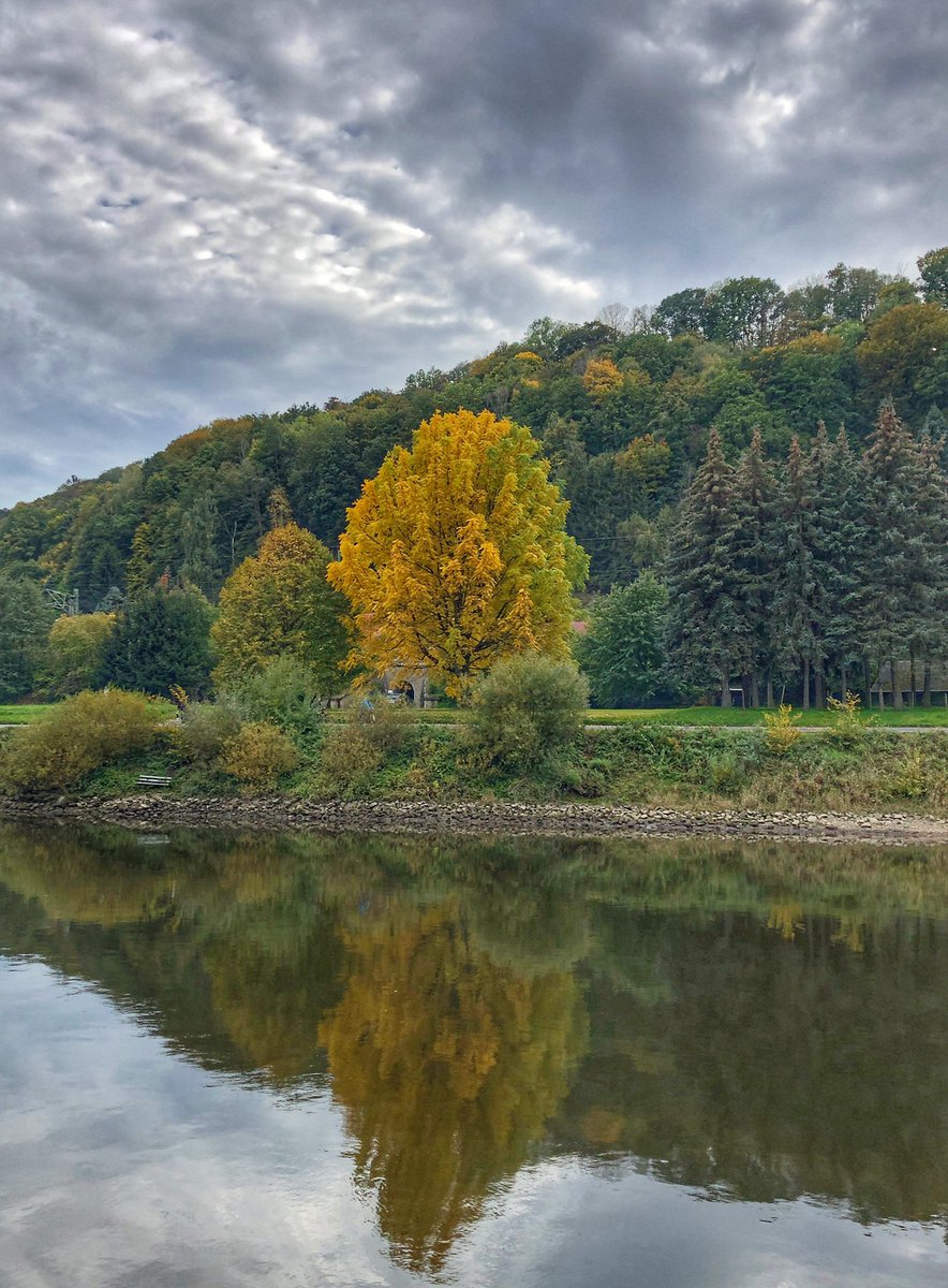 Mit dem Dampfschiff ging es von Königstein nach Pirna, vorbei an den Basteifelsen und der fliegenden (Gierseil)-Fähre in Kurort Rathen