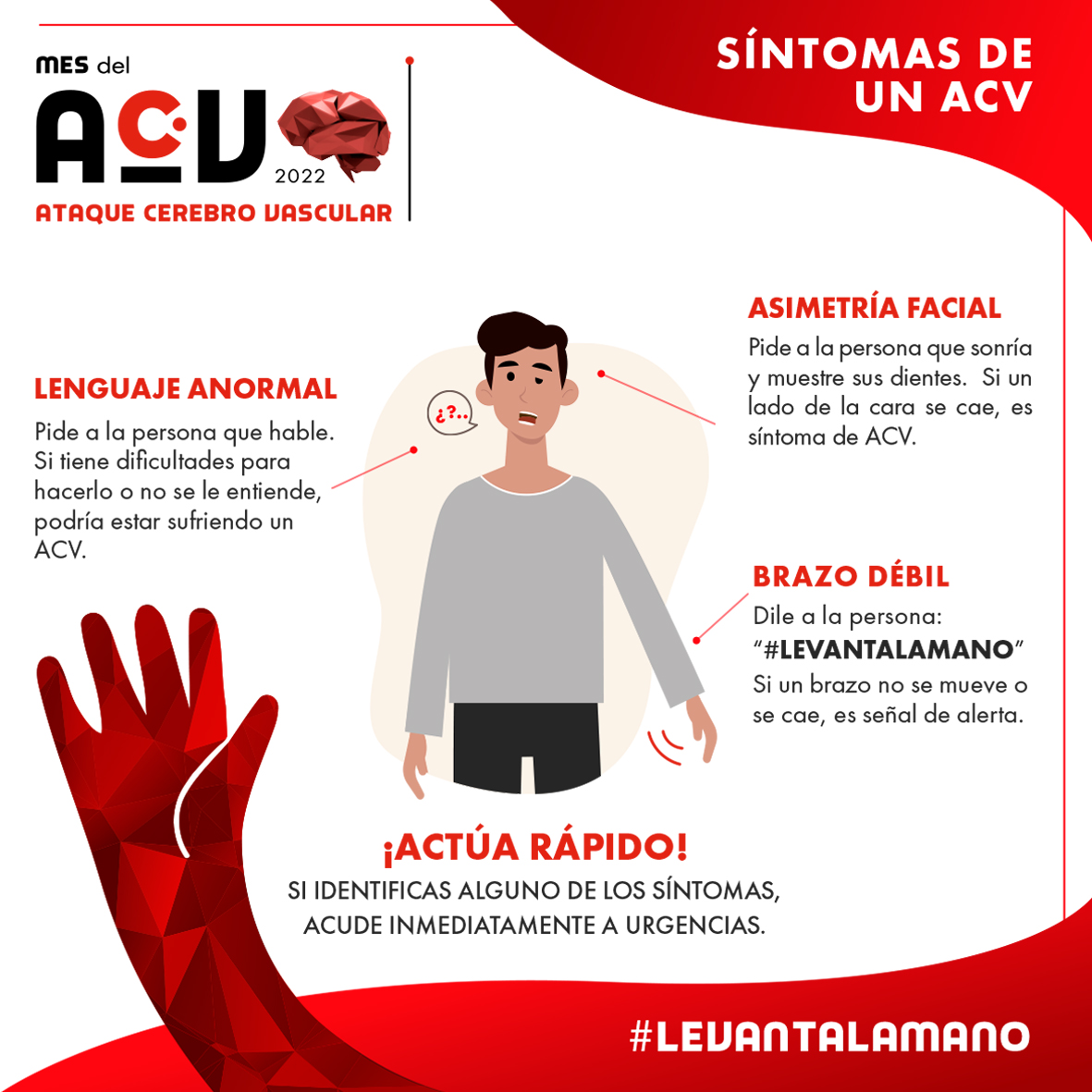 Señales de alerta ⚠️🧠
🙋🙋‍♂️ #LevantaLaMano, reconoce los síntomas y acude inmediatamente a Urgencias.
#MesDelACV #ACV