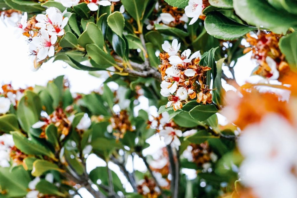 freopics_'s tweet photo. Just had a play with my new camera with some nature in my front yard.
#frontyardphotography #havingsomefun
#CanonCamera
#natureshots https://t.co/LIfMj5ak7V