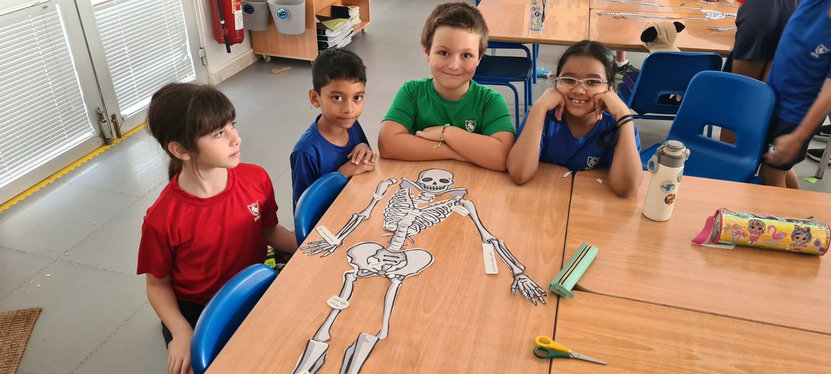 BSMuscatY3's tweet photo. Today we used #connectionfinding in Science. What do we know that helps us put our skeletons back together and label them? #hpl @BSMuscatPrimary @PrincipalMuscat https://t.co/uE0xkWYgbc