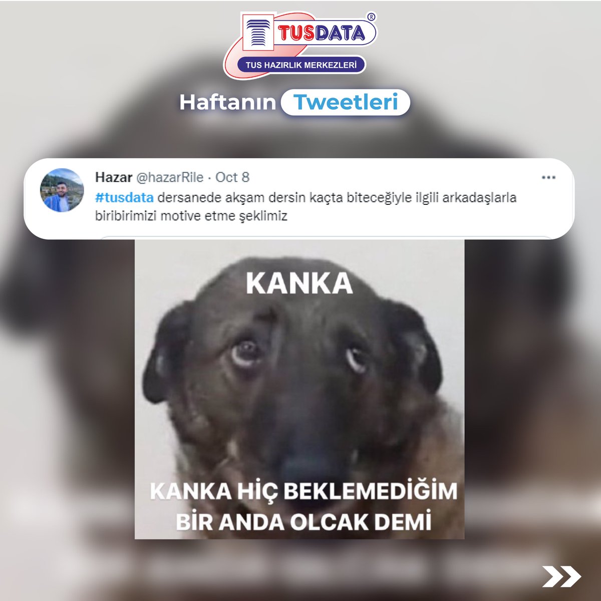 TUSDATA tweet media