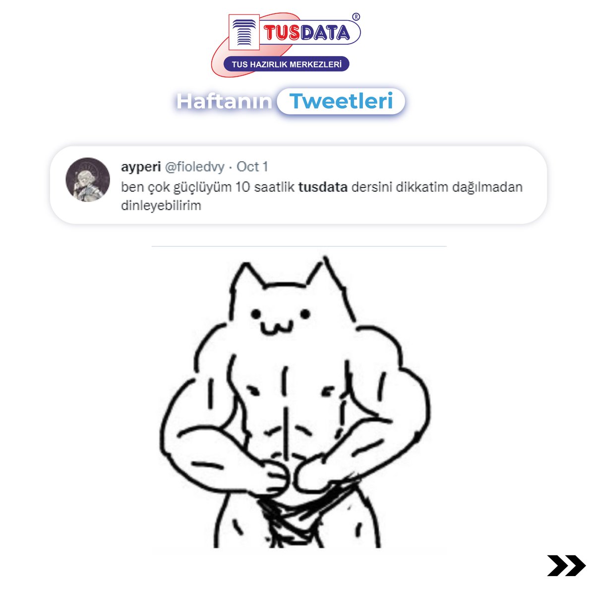 TUSDATA tweet media