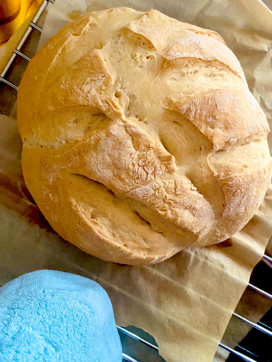 jay12077's tweet photo. Today Outah My Kitchen Fresh Baked Breads🔥🔥🔥🔥🔥🙌🙌
Its the Aroma in House🔥🔥
#Mykitchendiary🥖 https://t.co/eqaGRbBaR0