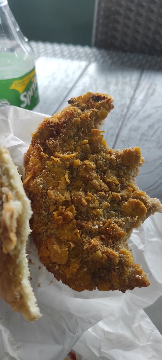 Jaydurella's tweet photo. Imagine what they are selling  in #portharcourt pleasure Park as bugger, bread with dry cornflakes. God, these people must be mad @PORTHARCOURT_ @instablog9ja @PH_Socials https://t.co/z1BYj6ZJ67