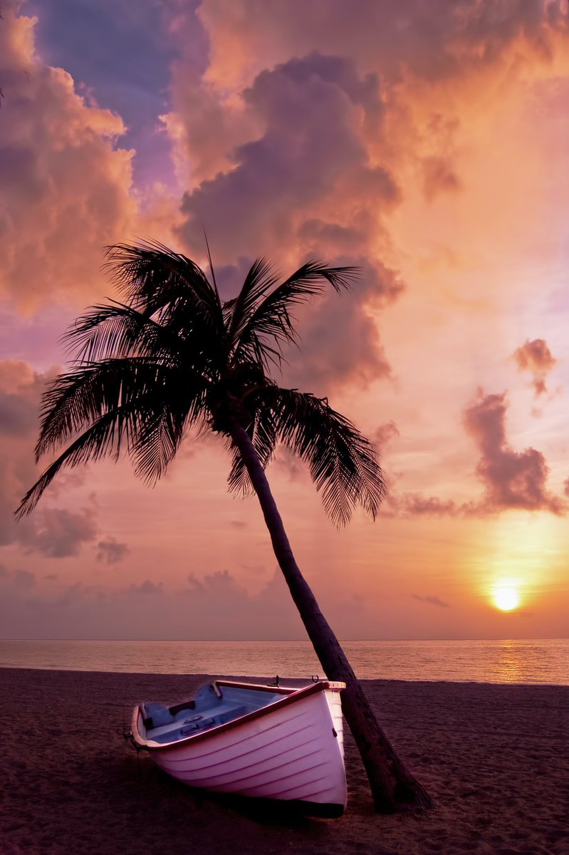 TranquilMindMus's tweet photo. Super Chilled Deep House Summer Lounge Music Mix available on my YouTube channel 👉🏻 https://t.co/XFCYHwutqU 👈🏿 🏝 #deephouse #chillout #chilloutmusic #ibiza #summervibes #YouTuber https://t.co/JWIrXH0Xek
