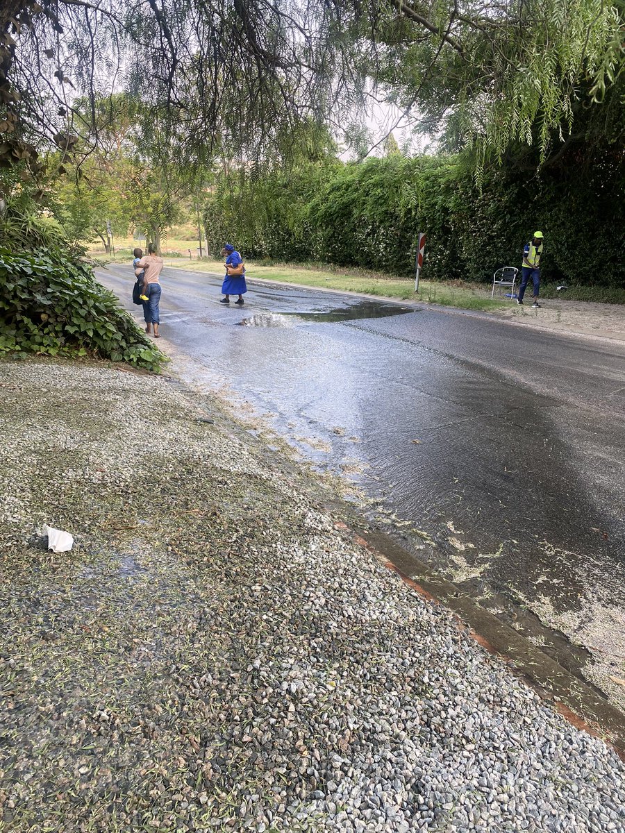 Misha Levin tweet media