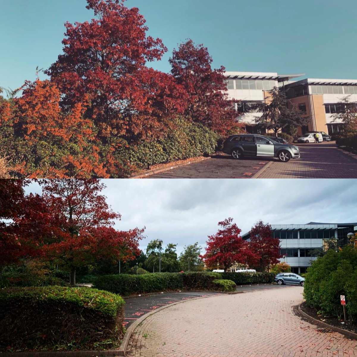 Some photos from a site in Solihull our maintenance team tidied up this morning.

The colours of Autumn are so beautiful!

#Maintenance #LandscapeMaintenance #AutumnColours #Landscaping #CommercialLandscaping