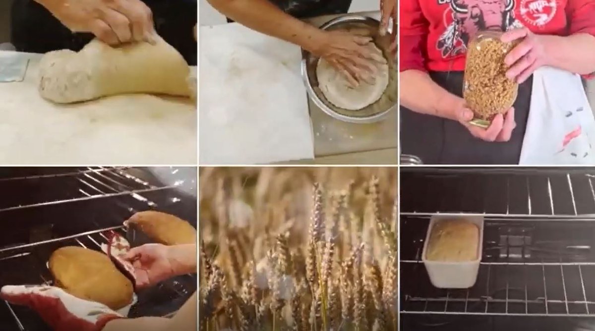 cfra's tweet image. In honor of #IndigenousPeoplesDay, get your aprons on and get ready to learn how to make sprouted #grainbread that you can savor once it’s done, and your body will thank you for later.
Watch this week’s Baking for Business Series youtube.com/c/CfraOrg