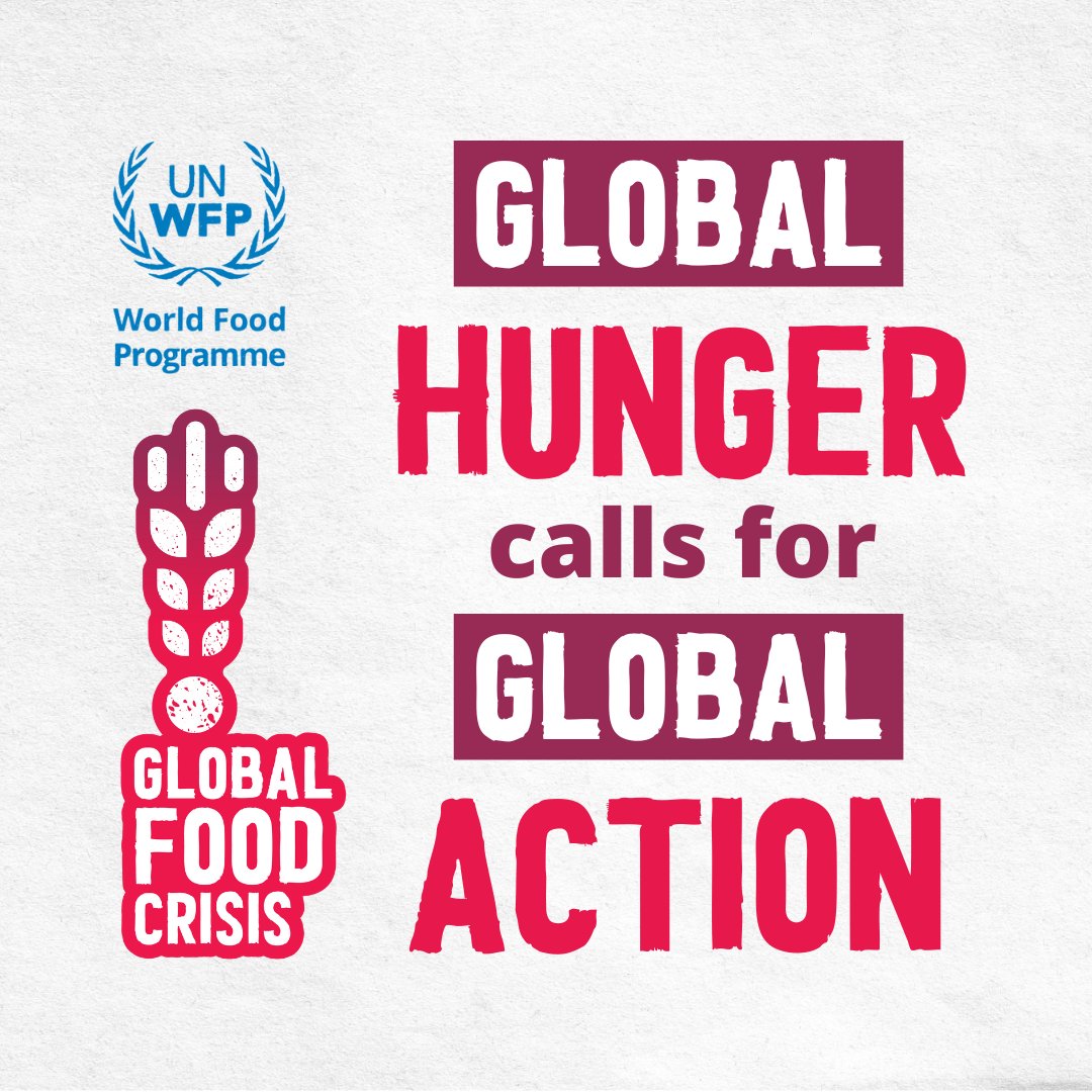 WFP's tweet photo. 🔺Global food prices are at a 10-year high🔺

Rising food prices and falling living standards have created a wave of collateral hunger with millions unable to afford a basic meal.

We need to act fast in the face of this global food crisis.