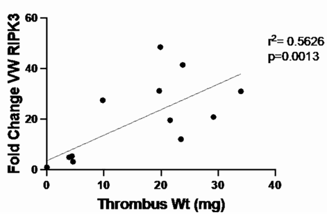 JVS_VascSci's tweet photo. Today in @JVS_VascSci : Receptor Interacting Protein Kinase 3 in Venous Thrombosis #venous #thrombus #RIPK3 from @henke1965 @MitriKhouryMD @elise_deroo https://t.co/tzyoqg8h50 Following work of @josediazvumc and others https://t.co/8hXgBskmlt