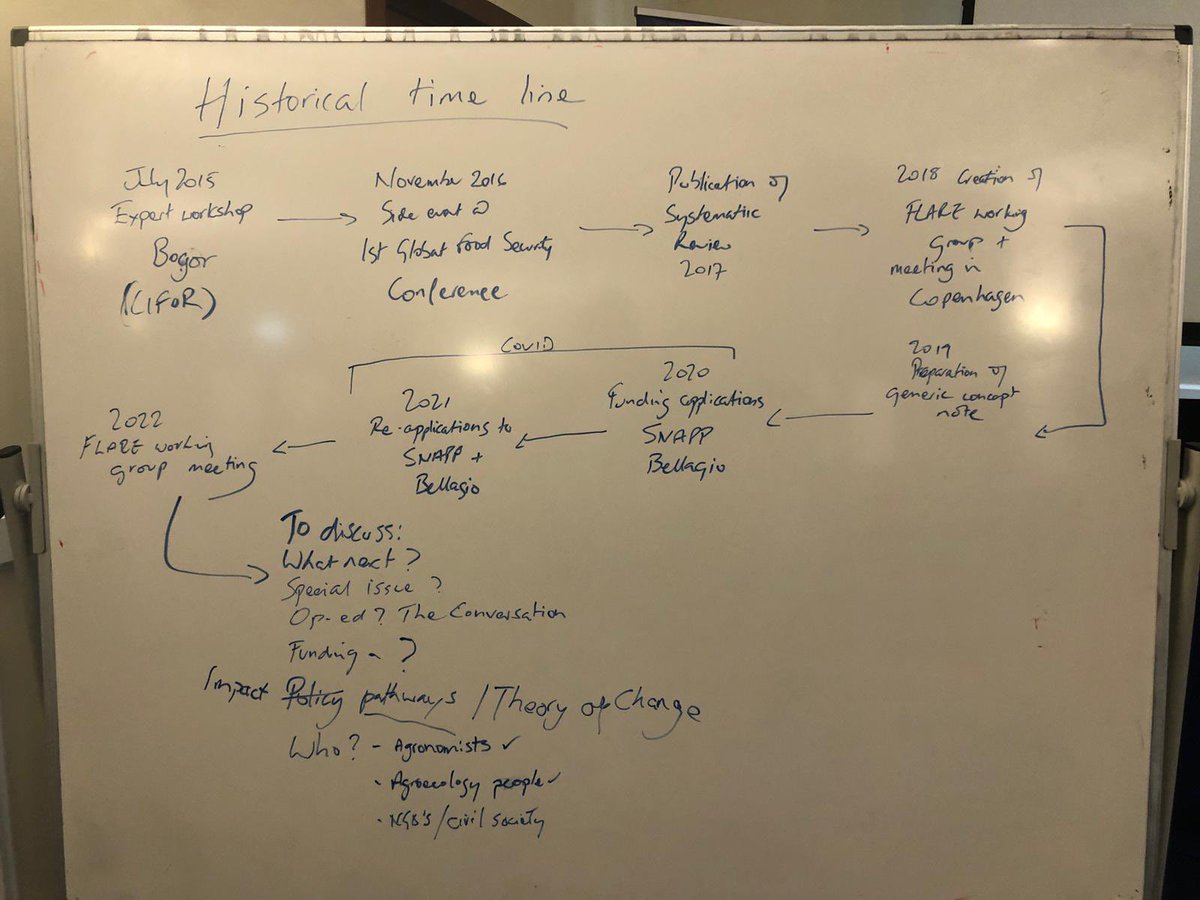 Sunderland Lab tweet media