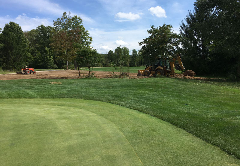 KBriscoePhD's tweet photo. @StewardsofTurf  RT @GCM_Magazine: Sharon Golf Club transitioned their greens and fairways from Poa to bentgrass. Go inside their process and the components involved, from shade to PGRs to patience. https://t.co/8w8kG4Cqvv @GCSAA https://t.co/YC35Wchc9B