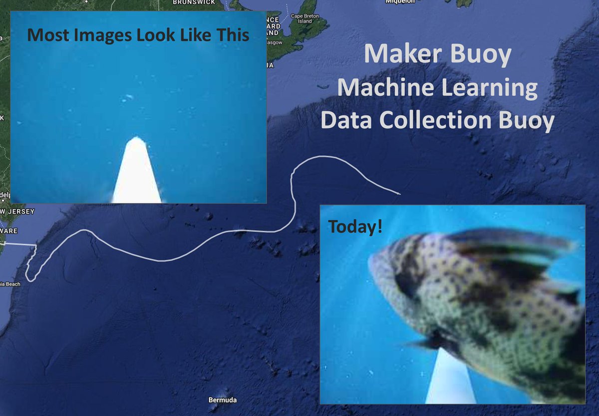 MakerBuoy's tweet photo. Gathering data in the #NorthAtlantic to train an @EdgeImpulse #MachineLearning model to identify #fish. Hoping to demonstrate #EdgeComputing on low-power hardware and send back only the #fishy images. I think this one was just showing off for the camera! https://t.co/g92H5kozpr
