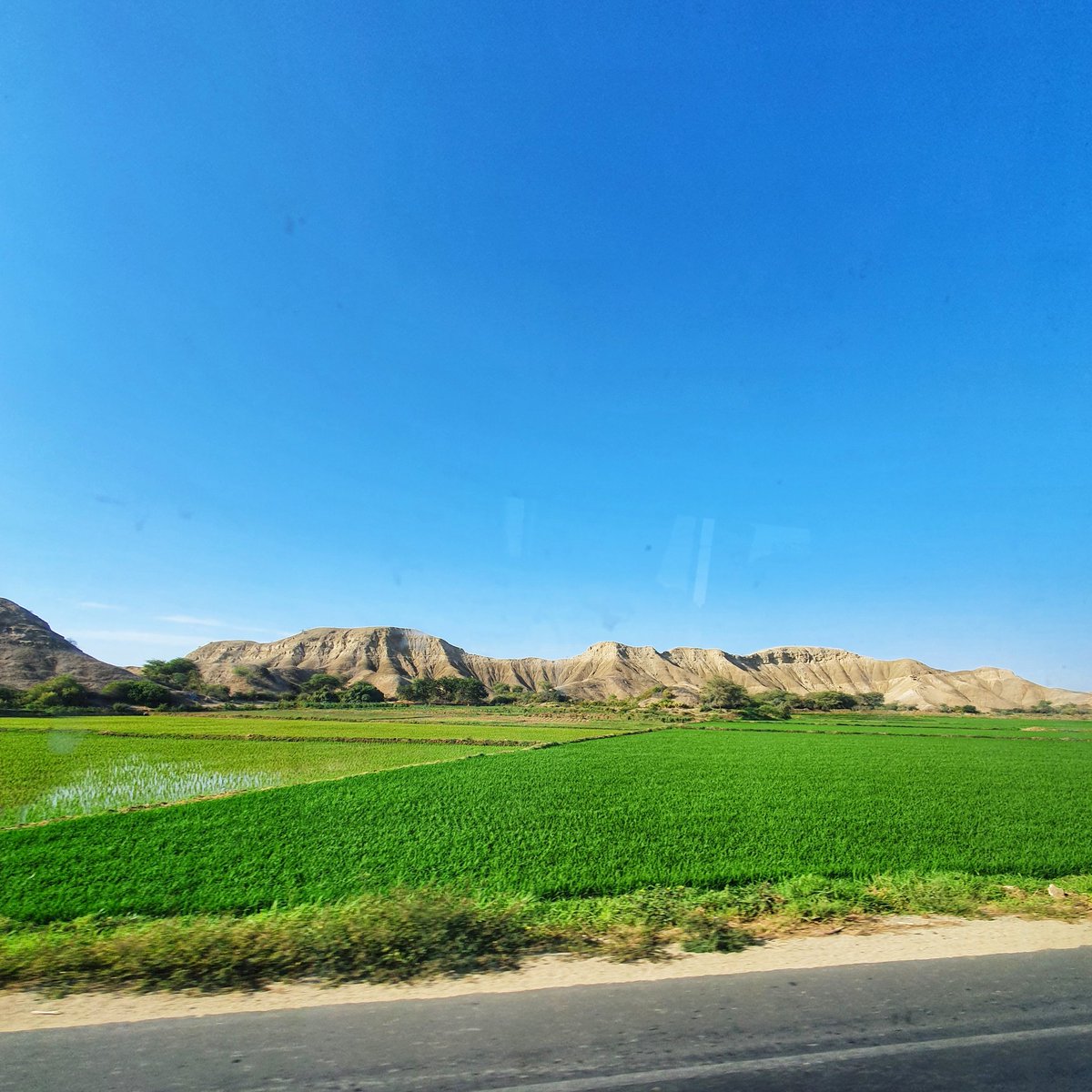 EvilRedXx's tweet photo. Cuando viajo me gusta fotografiar los paisajes de mi recorrido!! #DesdeElBus #AlgunLugarDelPerú 🇵🇪 https://t.co/GxFrUz4MjJ