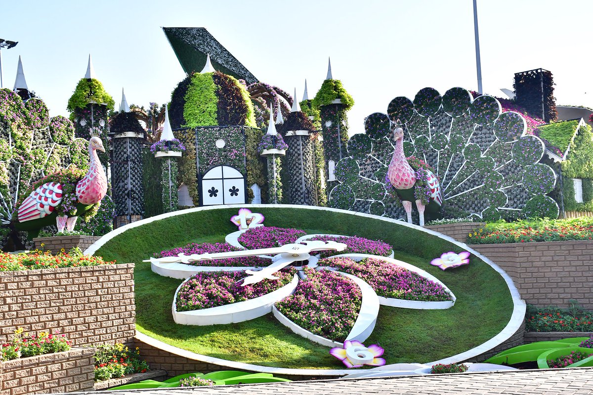 DubaiTrends's tweet photo. #Dubai Miracle Garden opens doors for local and international visitors for its eleventh season. Visitors to the world’s largest natural flower garden will enjoy never-before-seen floral and water-themed attractions.
https://t.co/3ZX1zMFKAq https://t.co/v7ubtKZlFJ