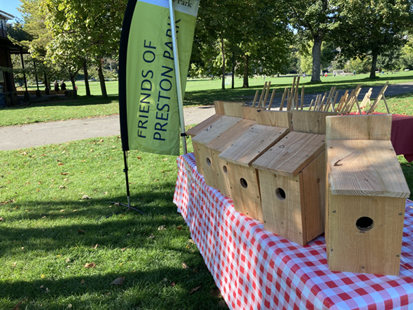 A starling village in Preston Park #Brighton. Friends of Preston Park will soon be putting up six starling nest boxes donated by #SaveourStarlings!  #Hove #Wildlife #Nature #Biodiversity

See: friendsofprestonpark.org/?p=3538