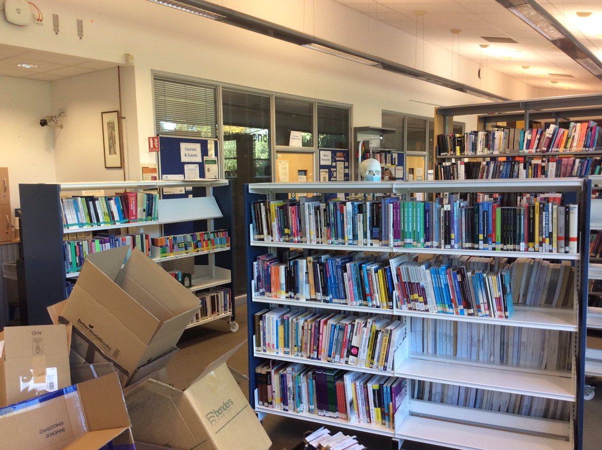 ooo look! I can see over this new shelving.