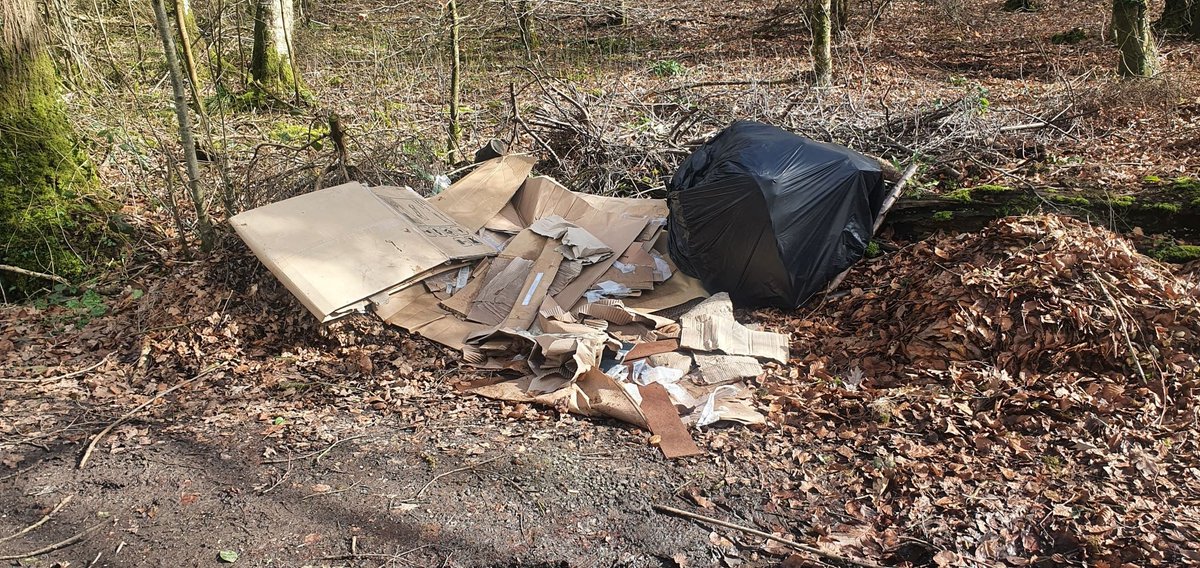 A man from Andover has been prosecuted for fly-tipping in the Marlborough Area. Magistrates imposed an 80-hour Community Order, a three-month disqualification from driving, forfeiture and destruction of the vehicle used, and £750 in costs.

Read more 👉 orlo.uk/nZtJ6