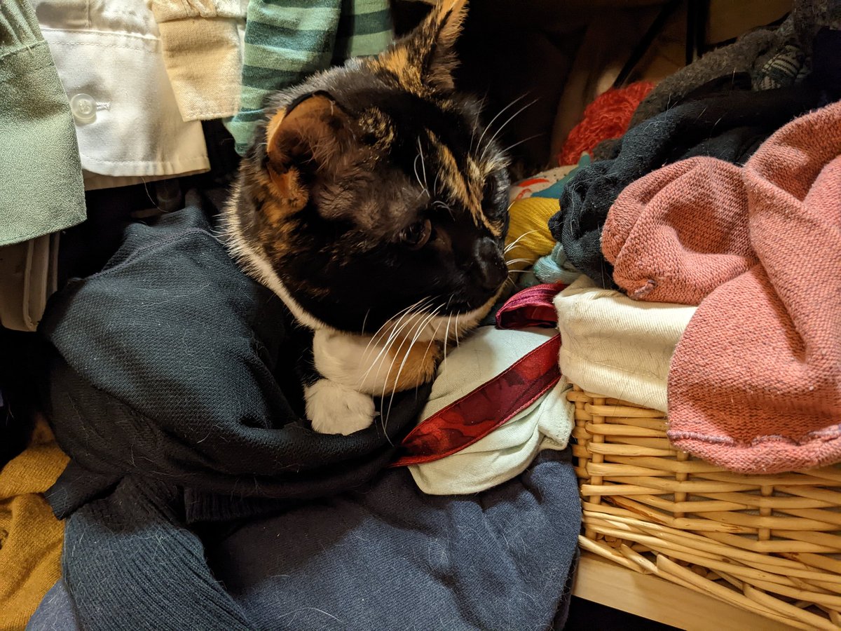 Matt Austern (@austern.bsky.social) tweet media