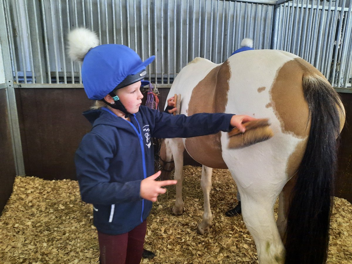 bg_primary's tweet photo. A group of our Year 6 pupils had a great first day @AcademyPony🏇 https://t.co/Gso4IduSre