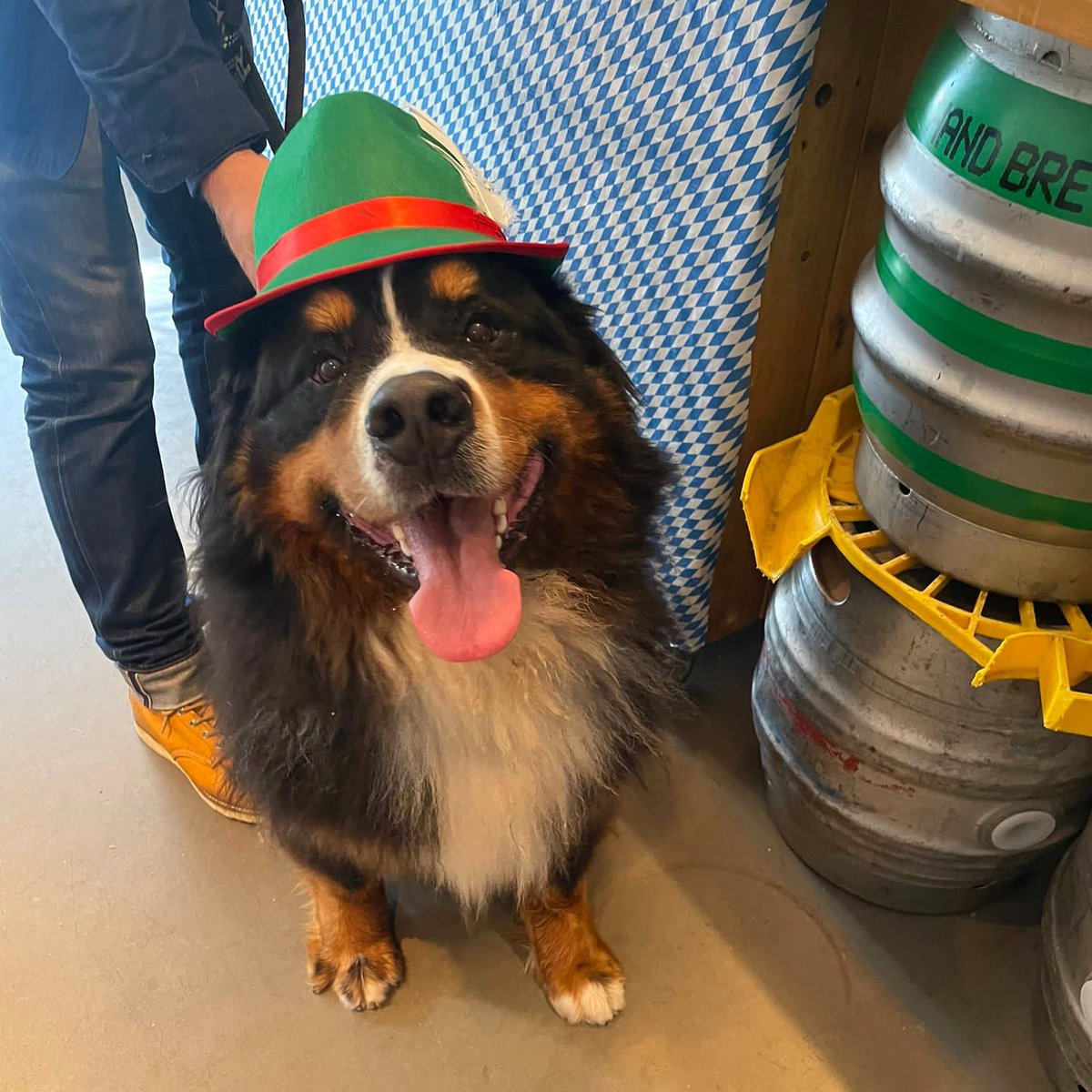 Thanks for an absolutely cracking weekend folks! Cheers to everyone who came down and got into the spirit of things, just like Filson here 🍻🎶