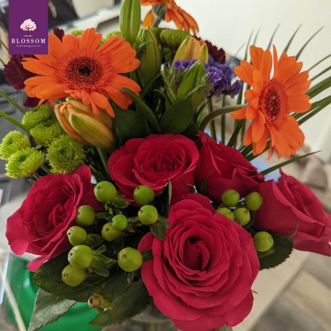 blossomwealth's tweet photo. Flowers can't solve all problems, but they're a great start!

#blossomwealth #flowers #bloom #colourful #beauty #happiness #financialplanning https://t.co/eK6b7N4tE3
