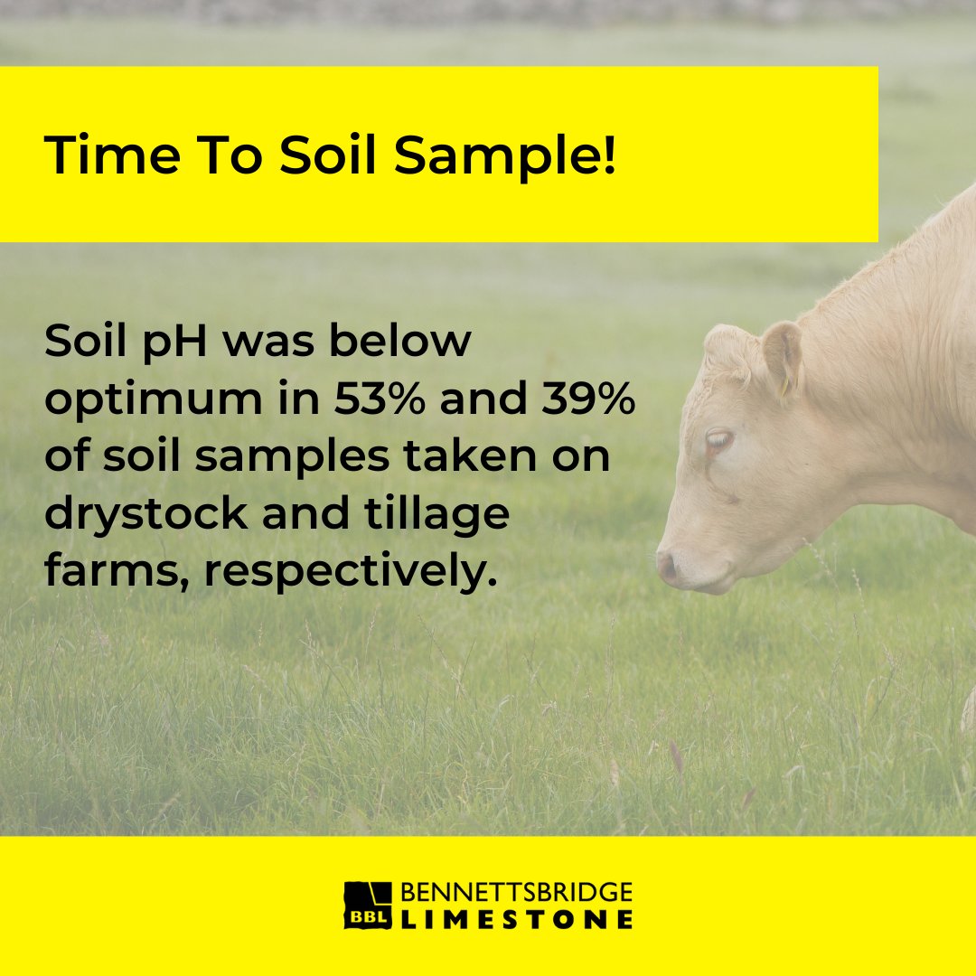 BennettsbrgLime's tweet photo. Now is a good time to ensure that you have up to date soil samples. ⚠
A recent soil report will show the rate of lime required for your farm depending on the soil type, soil pH and crop type. ✅
More info: https://t.co/AJwZOyV5kb
#SoilAnalysis #TimeToLime #AgriLime https://t.co/6LwyH6C9o1