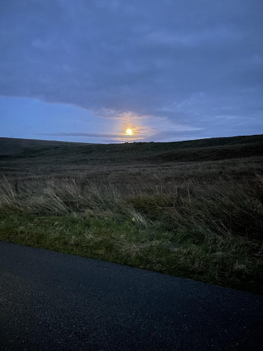 Jamie Fletcher tweet media