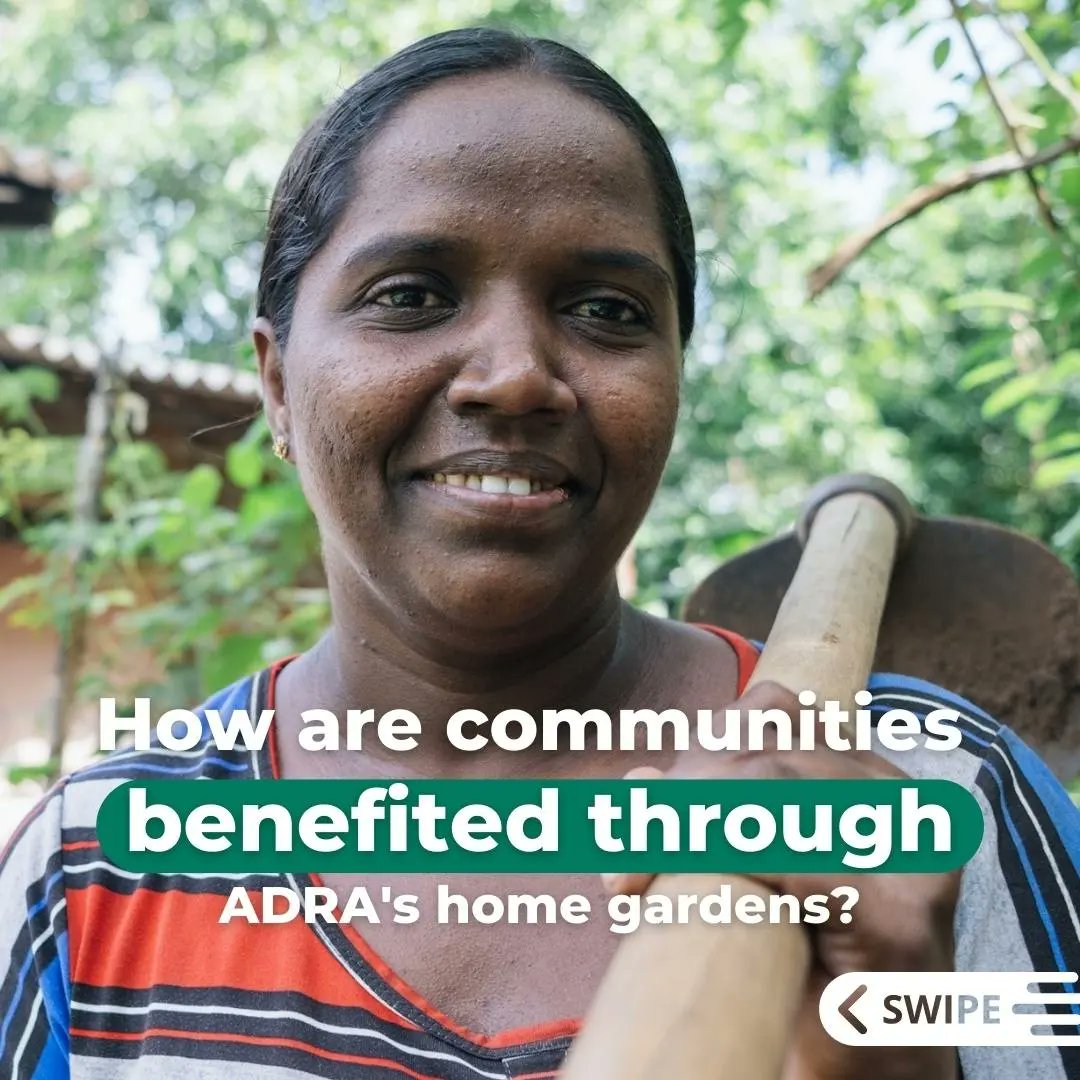 adra_lk's tweet photo. Swipe to learn how our home gardens have benefited communities. 👈

Photos: @Ruvindesilva https://t.co/XxzhRMAsTf
