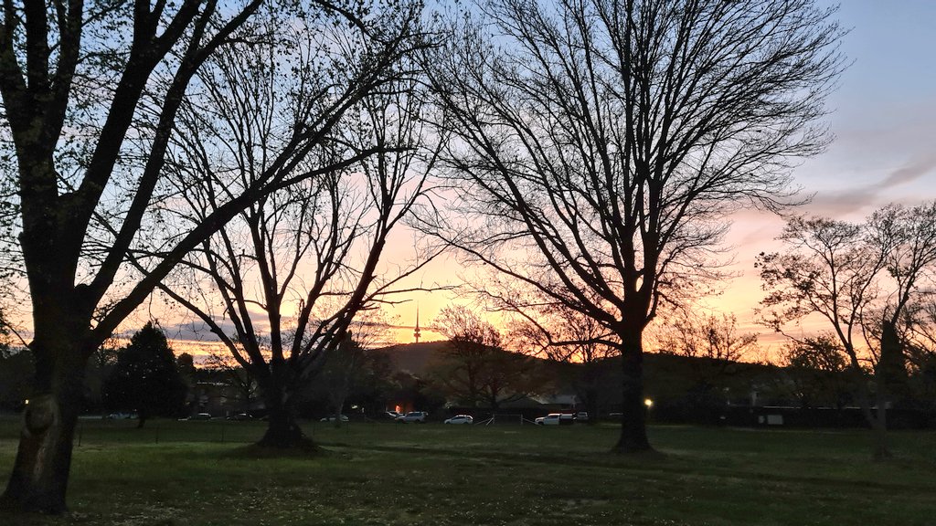 _outRAGEjess's tweet photo. Gratitude Journal
๐ฒ My acoustic motorbike
๐ F1 chat with Timmy
๐ง Leftover catering
๐ท Pinot Gris with Sam
๐ Saying hi to a cat at New Acton
๐ Daylight saving
#jfothanksyo https://t.co/G2dRjsPgbj
