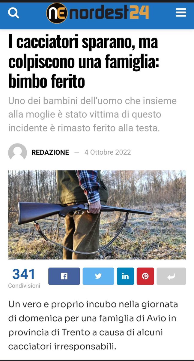 MaurizioZuccon's tweet photo. Cacciatore facci un favore: la prossima volta cerca di sparare in pieno petto a un tuo compare. 
Sparatevi fra di voi e siate distrutti, stramaledetti farabutti. https://t.co/5e1tBnsYsn