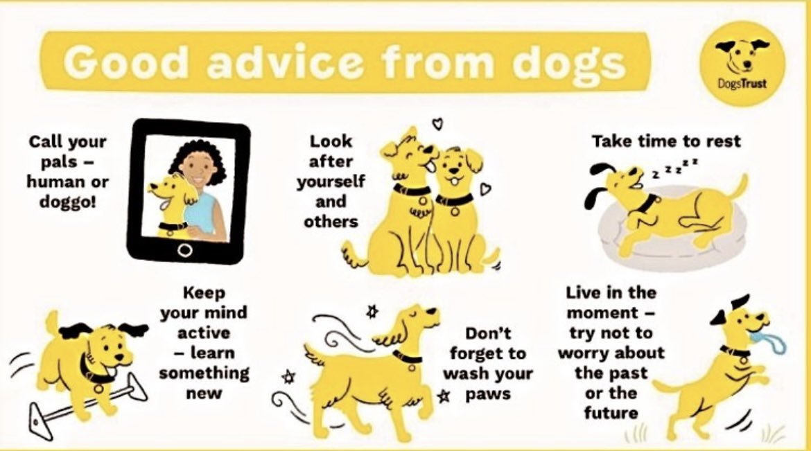 Top Dogs (@topdogbeachclub) on Twitter photo #WorldMentalHealthDay <a href="/DogsTrust/">Dogs Trust ๐๐ถ</a> ๐๐ #WorldMentalHealthDay <a href="/DogsTrust/">Dogs Trust ๐๐ถ</a> ๐๐