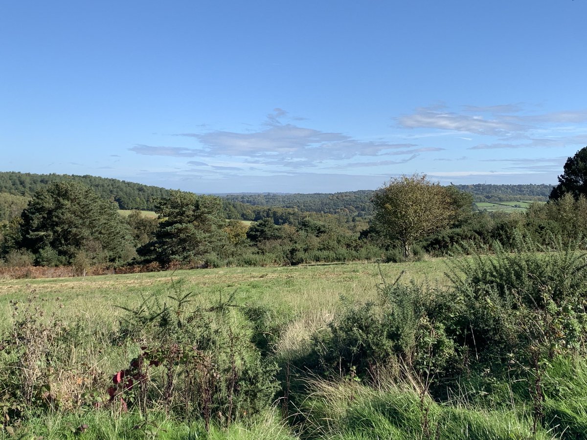 Time for one more amazing view before heading home. #AshdownForest. ⁦@highweald⁩ ⁦<a href="/AshdownForest1/">AshdownForestTourism</a>⁩ #Sussex ⁦<a href="/VisitSussex/">VisitSussex</a>⁩
