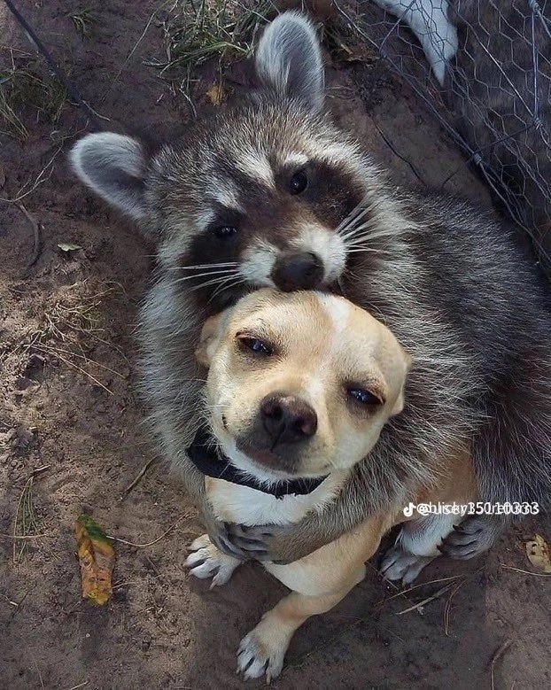 sellvito's tweet photo. this could be us https://t.co/ytdJxRpG15
