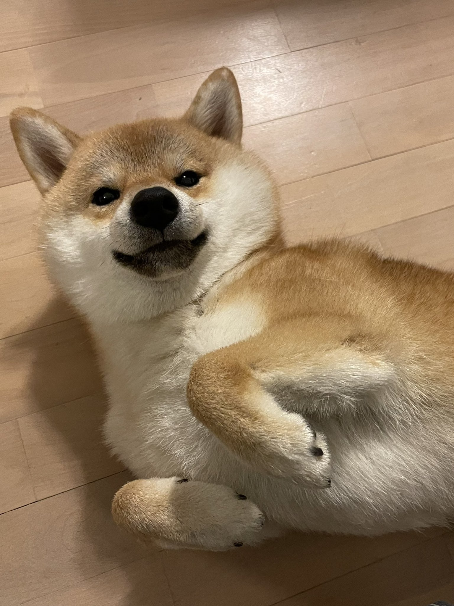 Nzer Bpj3kj4zm