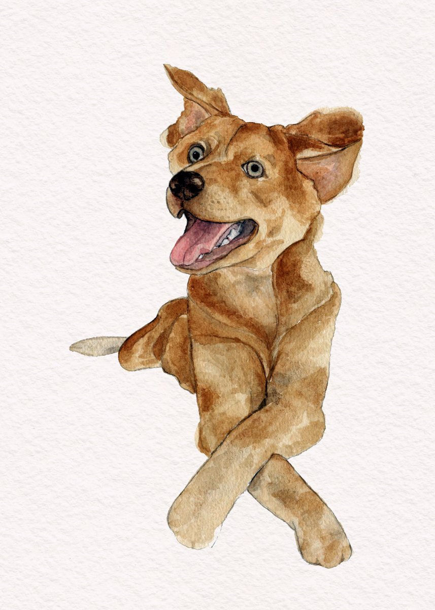 TWITTER PLEASE DO YOUR MAGIC

Maaf hrs pakai kalimat ini.
Ak sdg membutuhkan pemasukan lebih dr biasanya, sedangkan orderan lg menurun.
Aku di sini menawarkan jasa ilustrasi seperti ini dengan harga mulai dr 55k. Bantu RT pun sangat berarti buatku.
Thanks in advance

#commision