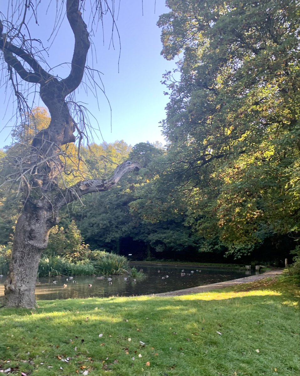 LauraATranter's tweet image. Such a lovely morning joining colleagues in Gwent for the Hope walk @PAPYRUS_Charity @2wishcharity @NatashaHarr124 #WorldMentalHealthDay @CeriFowler1