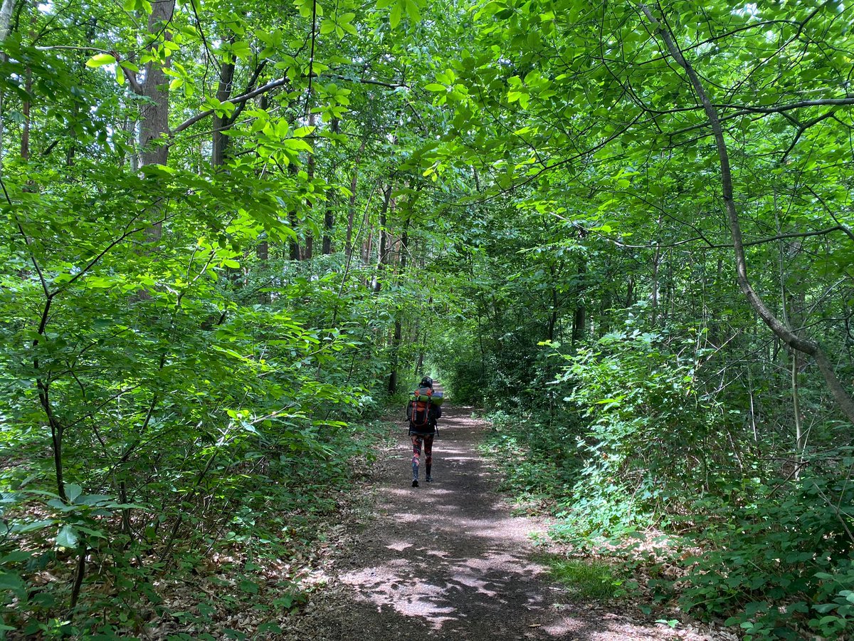 slowbytravel's tweet photo. 𝐇𝐢𝐤𝐢𝐧𝐠 𝐬𝐞𝐜𝐫𝐞𝐭 𝐭𝐫𝐢𝐩𝐬 🥾
Autumn is a perfect season to slow travel by foot! Here's a little souvenir from this summer - when we tested hiking trips with Manon & Ingrid.
These woods are just 😍
#slowtravel #secrettrip #climateneutraltravels #supportlocaleconomy https://t.co/4LmsswJinr
