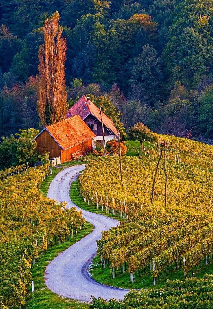 🧡🍃🧡 Good Morning 🧡 🍃🧡