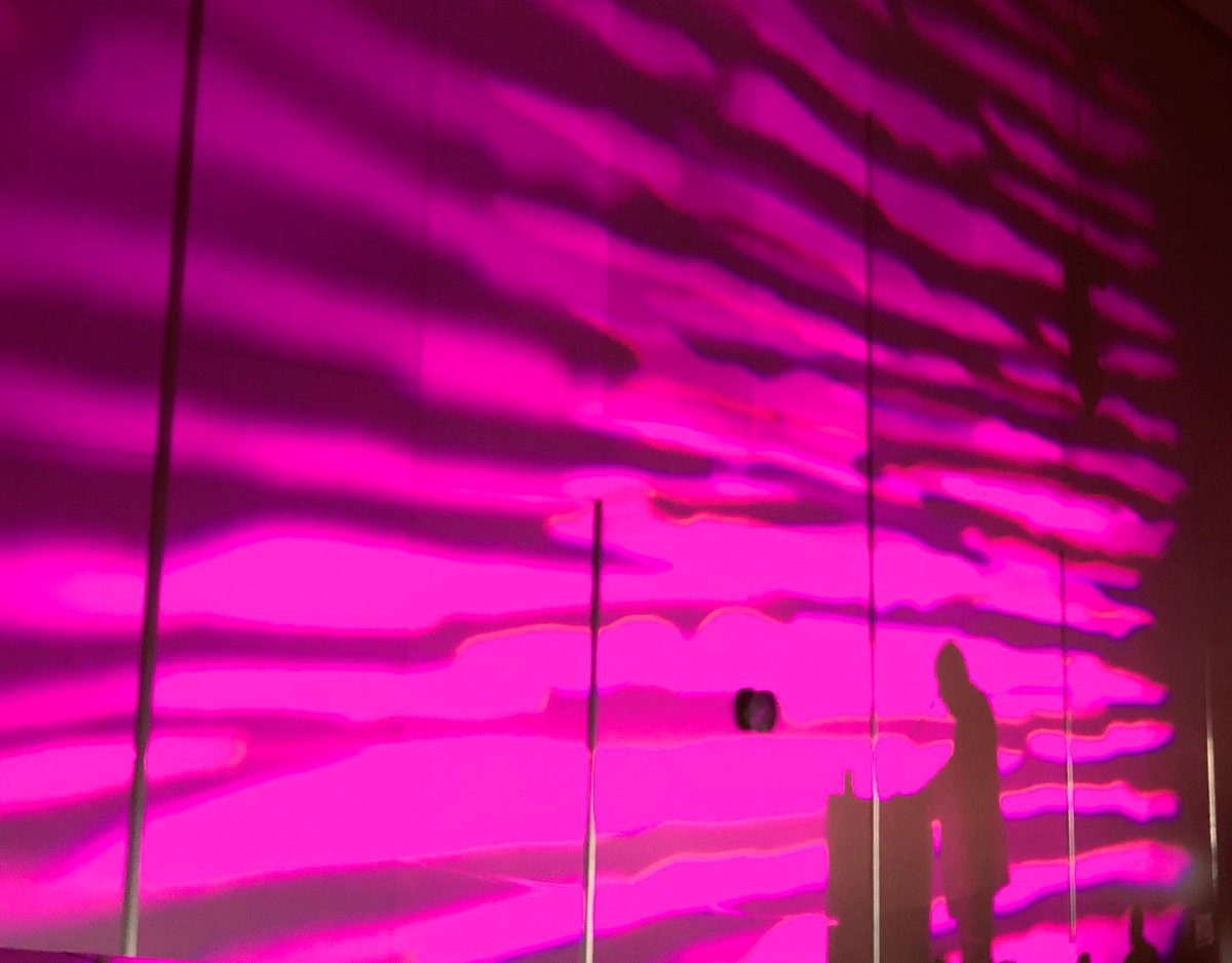 Inés Leal tweet media