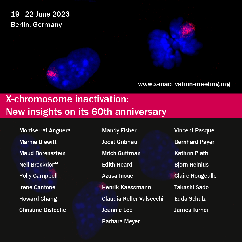 📢#Xchromosome enthusiasts! Mark your calendars: Together with <a href="/CRougeulle/">Claire Rougeulle</a> <a href="/lab_turner/">Turner Lab</a> <a href="/GribnauLab/">Gribnau lab</a> <a href="/rafaelgalupa/">Rafael Galupa</a> we are organizing

🔥 The 7th X-inactivation meeting 🔥 #XCI2023

📅 19.-22.6.2023 in Berlin 

x-inactivation-meeting.org