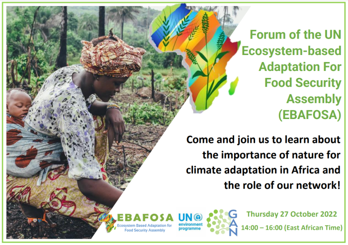 The main objective of the Forum is therefore to provide an overview of #EBAFOSA's main activities, achievements to date and next steps, and to invite new external stakeholders to join the network 
Register here! forms.office.com/r/F1FhyxsaPR