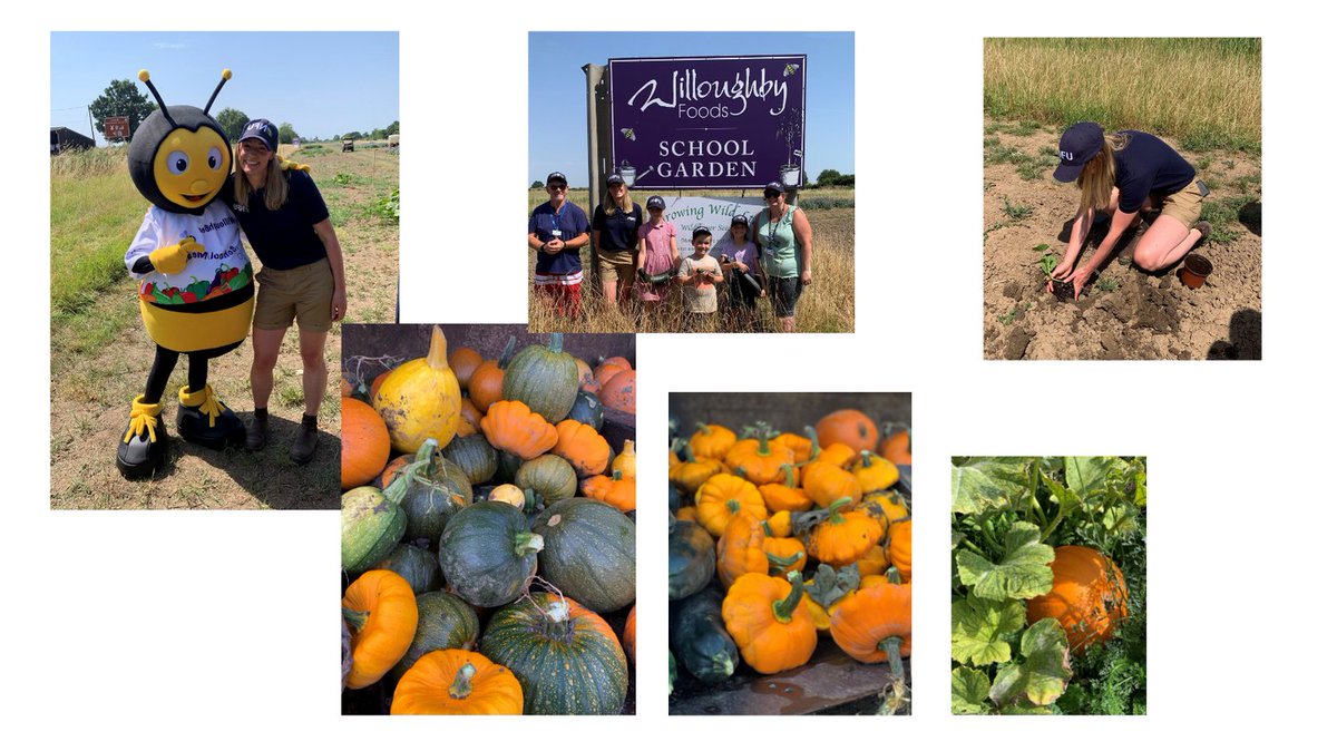 Which one was yours Jo? 😃😃
<a href="/NFUHollandLincs/">NFU Holland (Lincs) County Adviser</a>
@RHSSchools