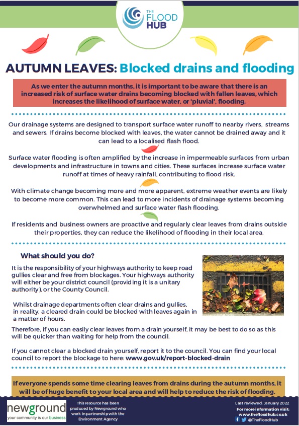 The Flood Hub People tweet media