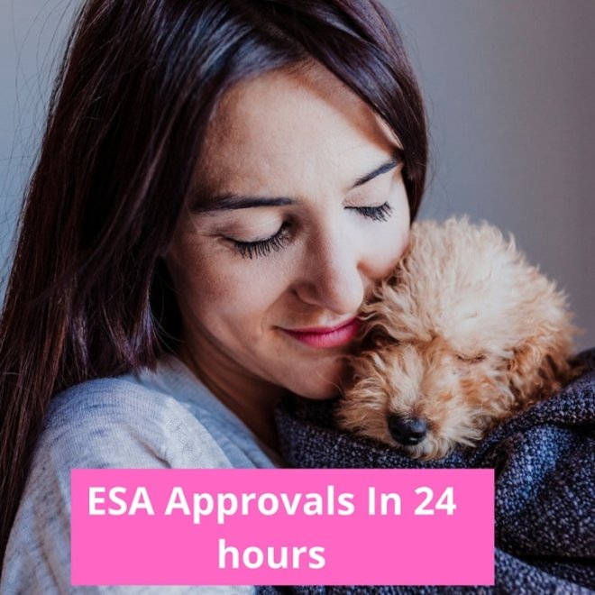 americanpetco on Twitter "Get an ESA Letter is Easy. Now you can