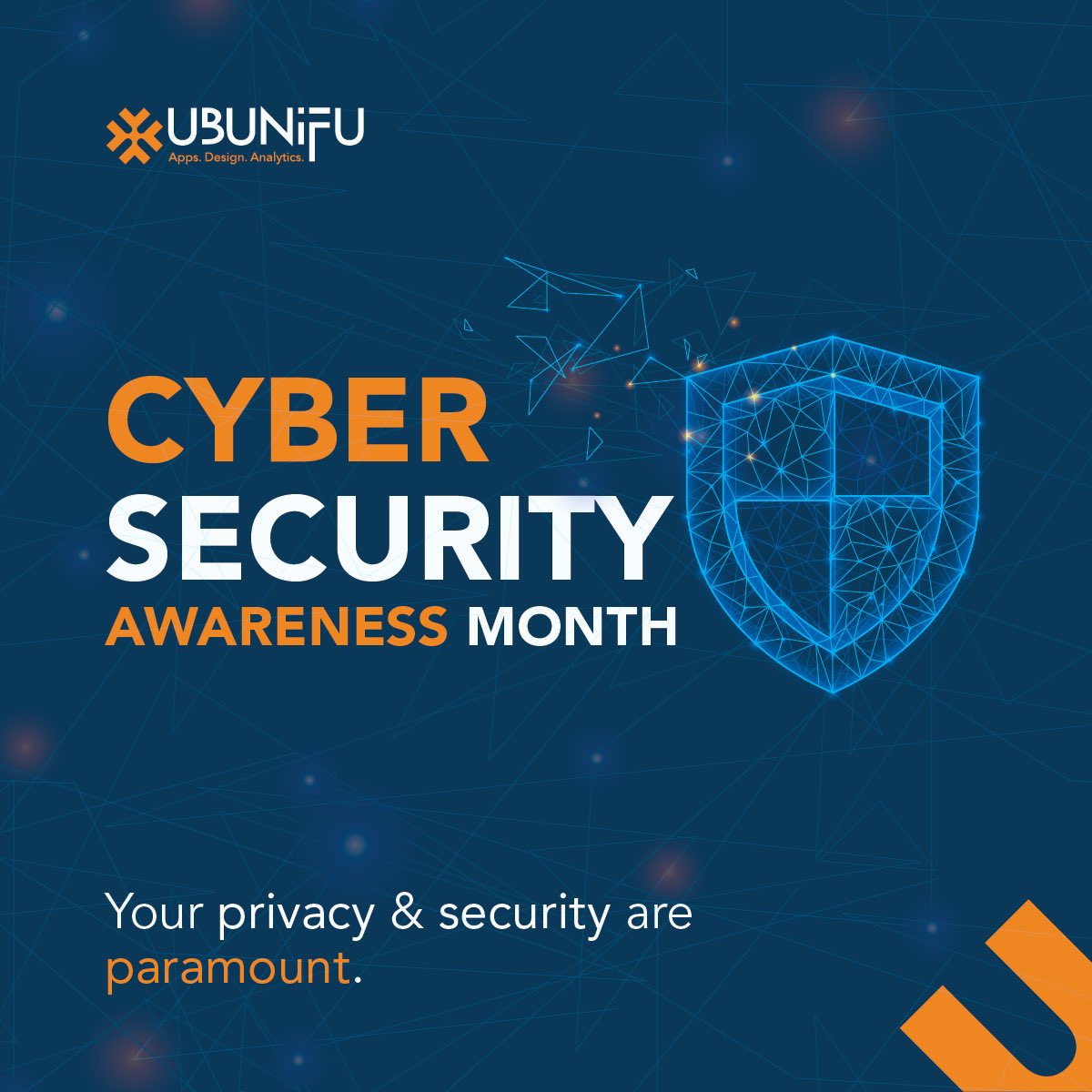 ubunifusystems's tweet photo. October is also the Cyber Security Awareness month. Now that data is one of the most highly sought commodities, it’s important to keep your online footprint secure and constantly reviewed #DigitalSecurity https://t.co/IATTp4jnGf