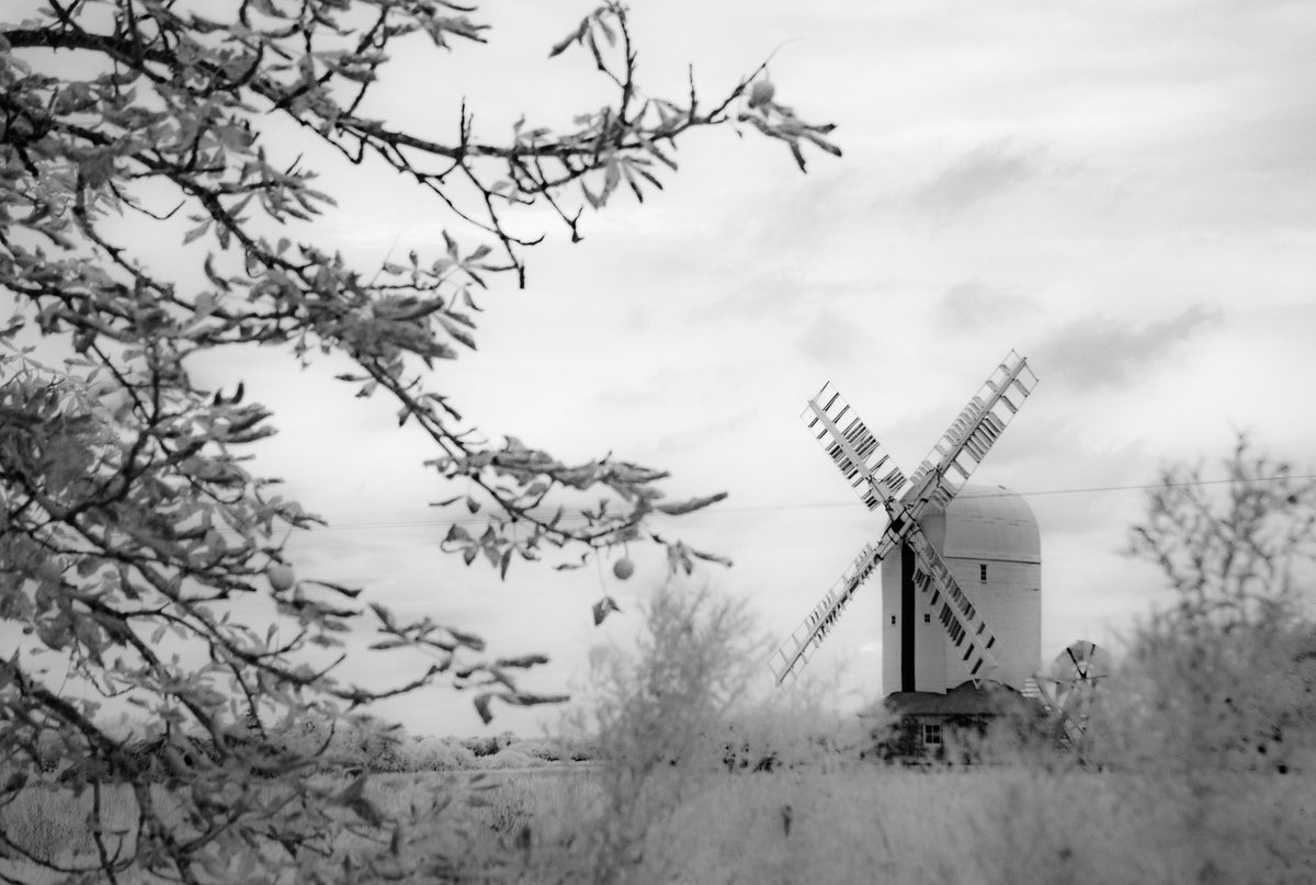 ImagesbyDA's tweet photo. Aythorpe windmill in IR
 
#Windmill #Nature #Cloud #Plant #Outdoors #Sky #Tree #Monochrome #essex  #essexphotographer #photography #essexcounty #longexposure #bnw #blackandwhite #blackandwhitephotography #bnwphotography #bnwmood #irphoto #irphotography #infrared #infraredphoto https://t.co/PCnS8Oa0YD